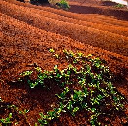 《直到黎明：重制版》Steam在线峰值仅2607人