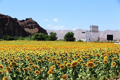 PS5 Pro？索尼招聘“多主机世代”PS5工程师