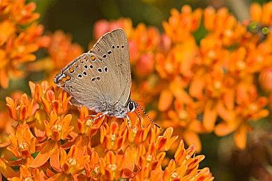 沉浸式模拟《Albatroz》11月1日发售 登陆多平台